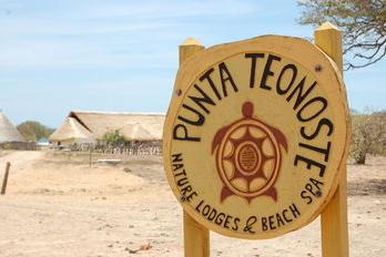 Hotel Punta Teonoste